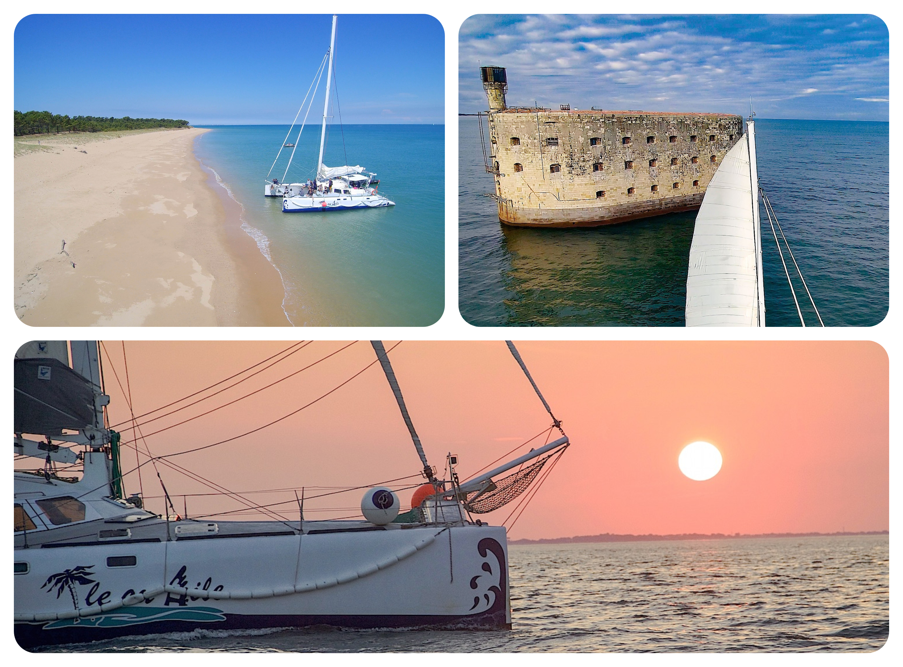 Ile ou Aile Catamaran