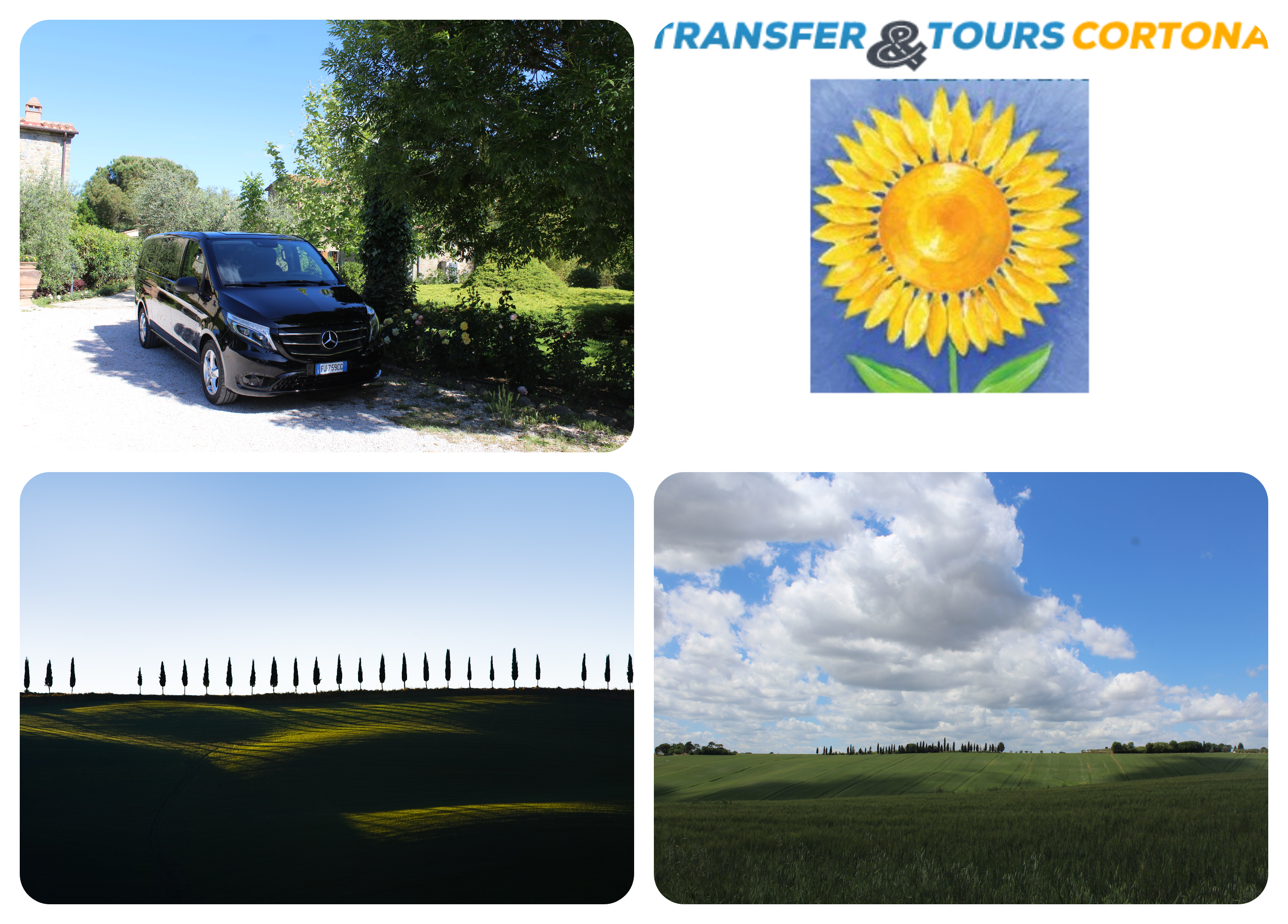 transfer and tours cortona