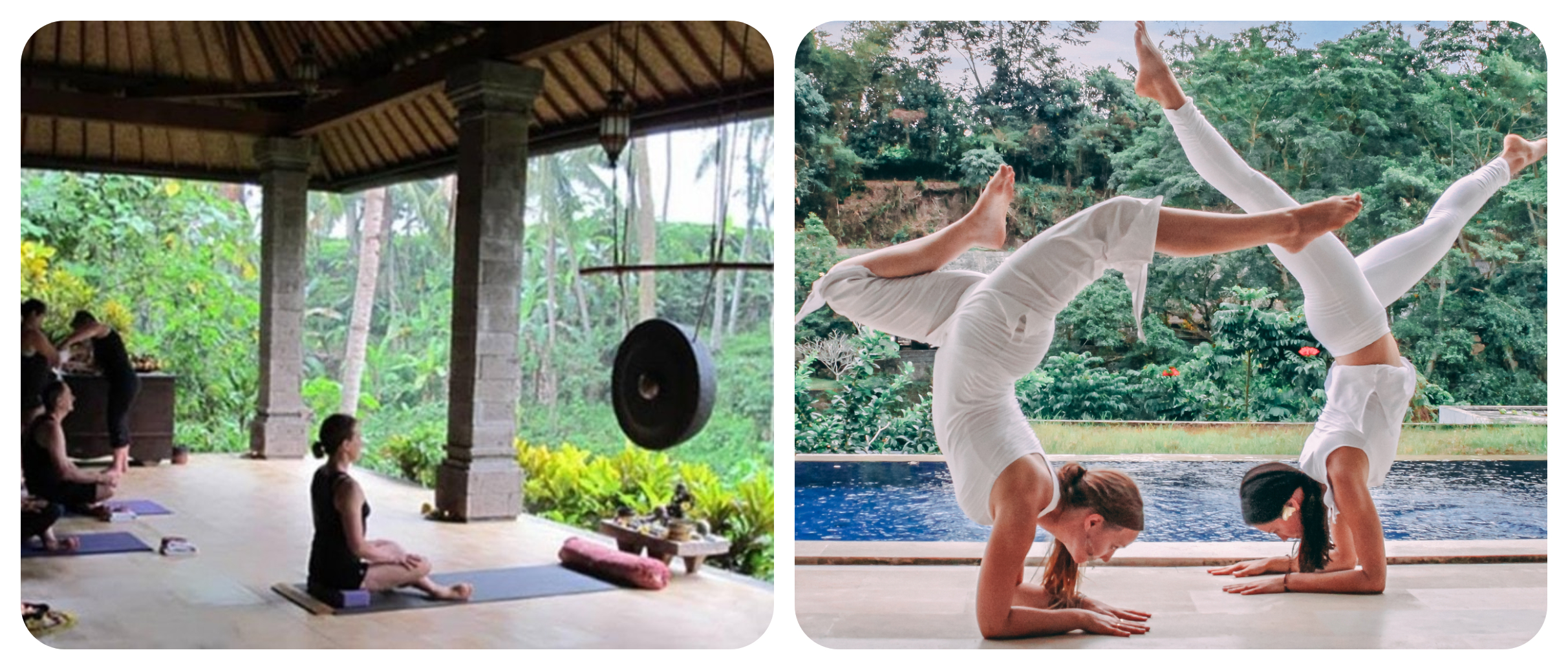 Blooming Lotus Yoga