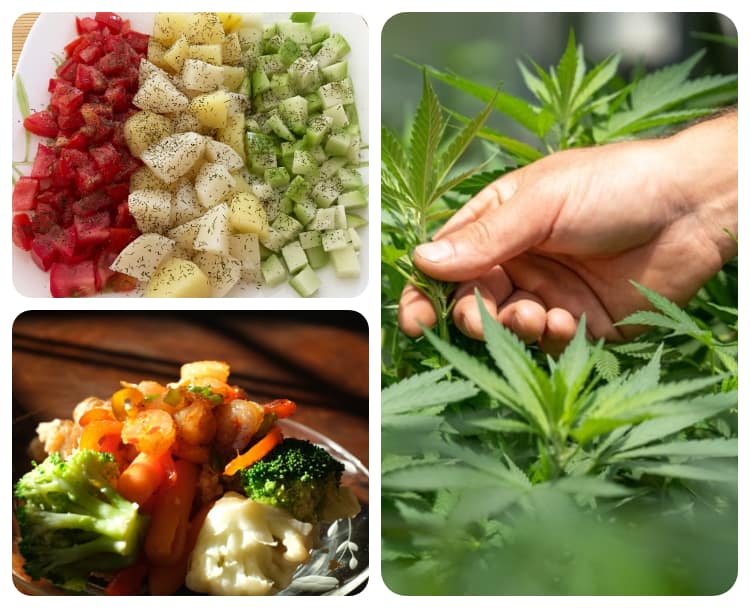 Modern and Innovative Trends