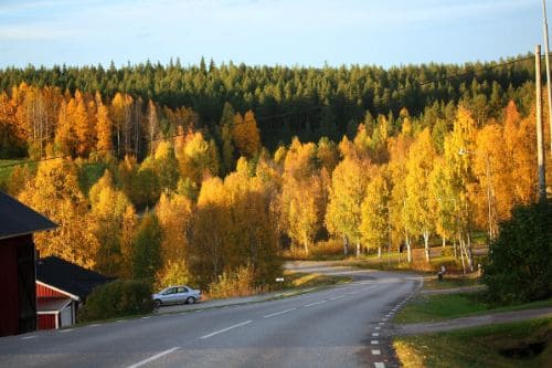 Autumn at Pike Paradise