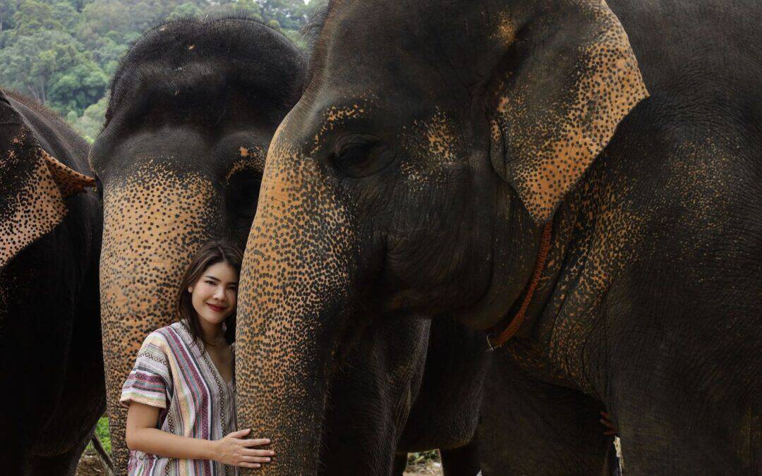 Culture in the Canopy: The Vital Partnership with Northern Thailand’s Karen Hill Tribes