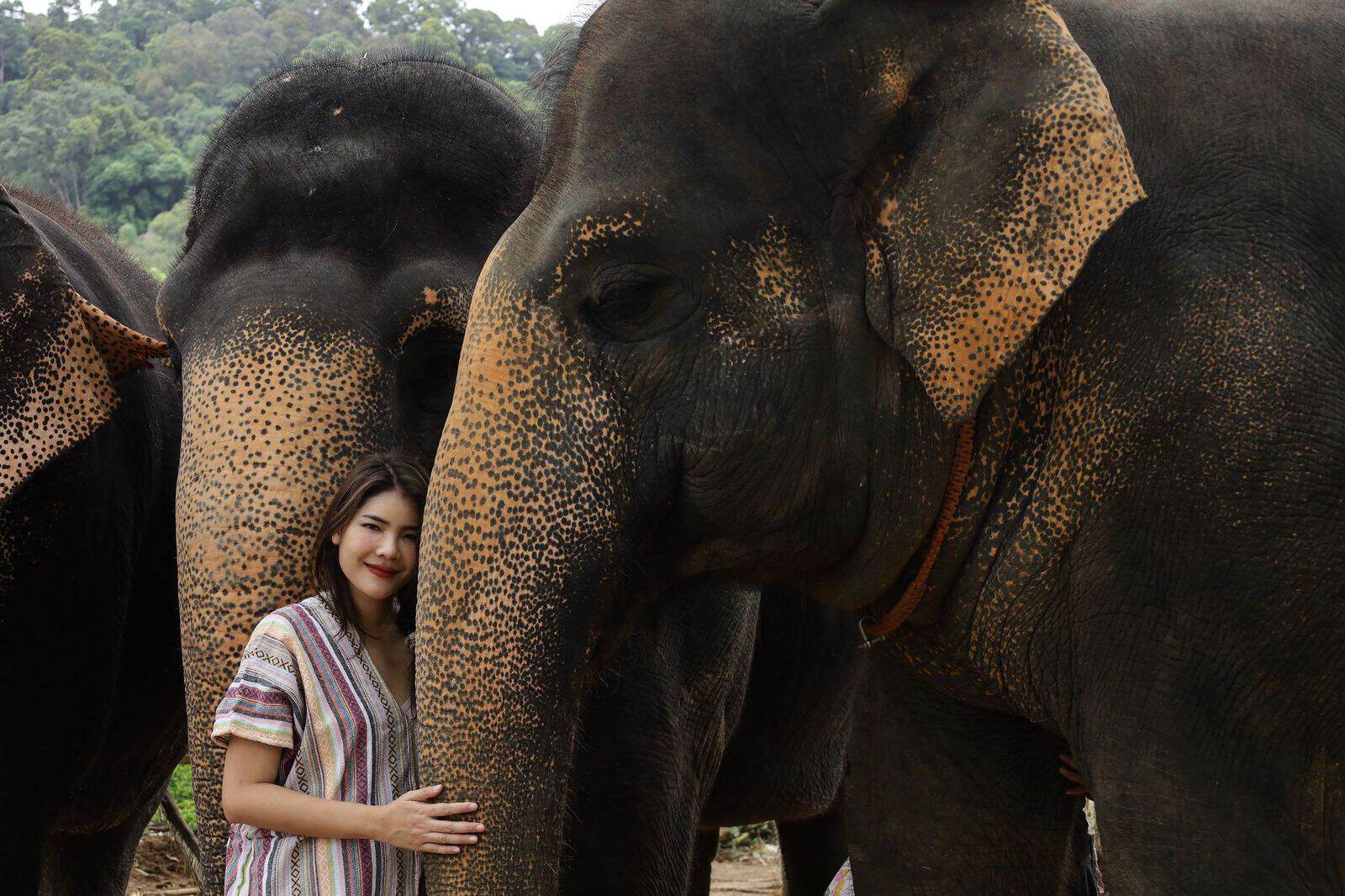 Up-Cycling the Herd: How Elephant Jungle Sanctuary’s Eco-Friendly Poop Paper Program Works